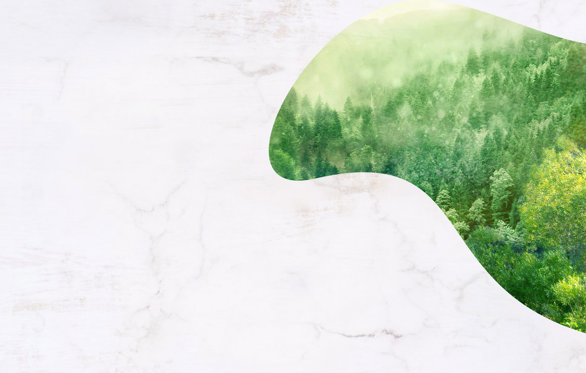 筷子&魚缸背景1920*1223